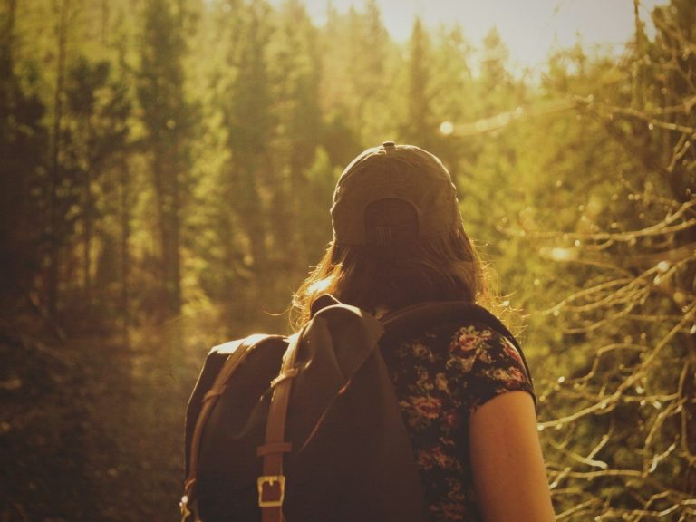 Person mit Rucksack steht in einem Wald und blickt in die Ferne. Sonnenlicht scheint durch die Bäume.