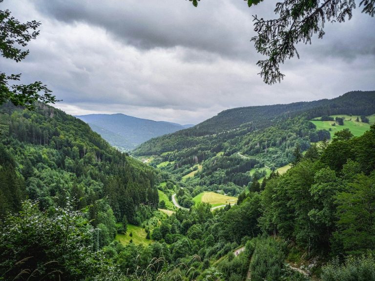 Blick auf ein grüne Tal mit Hügeln und bewaldeten Berghängen unter bewölktem Himmel.
