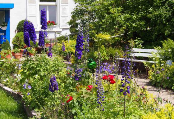 Bunte Blumenrabatte mit lila und roten Blumen vor einem Gebäude und einer Bank.