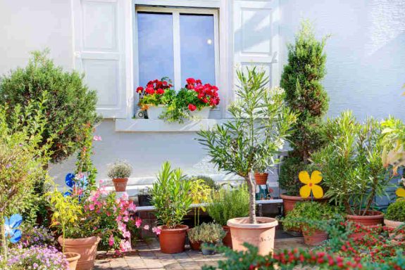 Bunte Blumen und Pflanzen in Töpfen neben einem Fenster mit blühenden Balkonkästen.