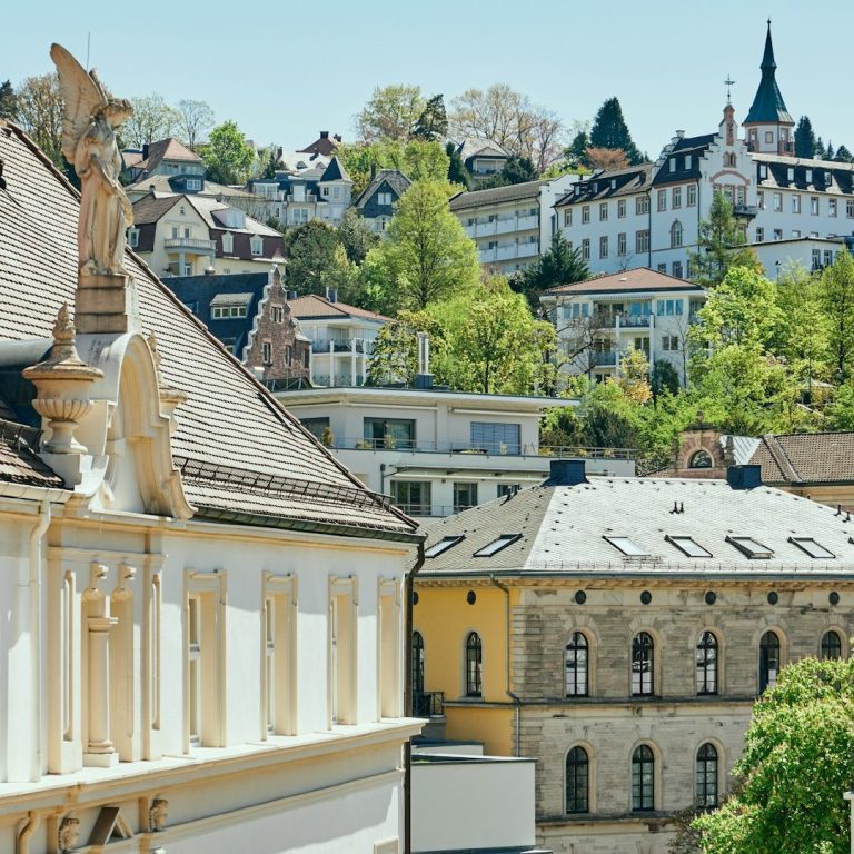 Häuser und Dächer in einer grünen, bewaldeten Landschaft. Historische Architektur im Hintergrund.