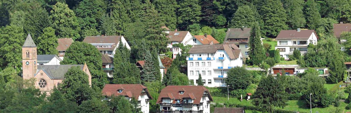 Ein malerisches Dorf mit Wohnhäusern und einer Kirche, umgeben von Bäumen.