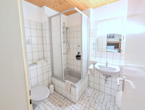 Badezimmer mit Dusche, Waschbecken und WC, gefliest und hell beleuchtet.